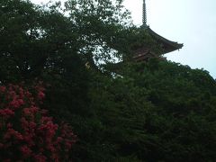 京都・琵琶湖の旅　2004.8