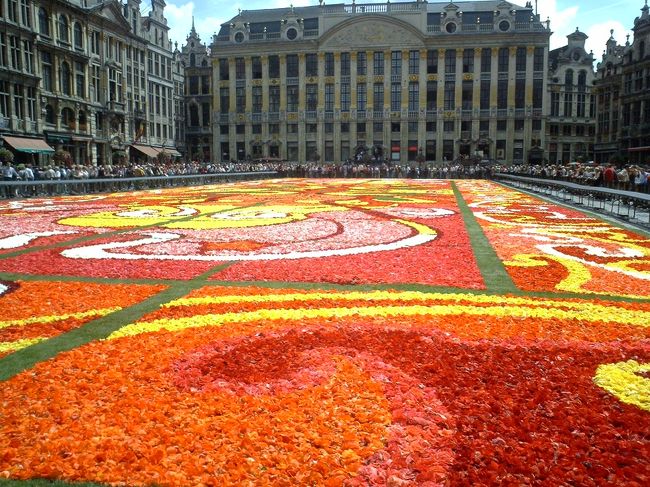 二年に一度ブリュッセルのグランプラスにお花のカーペットが敷き詰められます。<br />お花のカーペットを見にブリュッセルに行きました。<br />ベルギーは美食の街♪<br />ムール貝にビール煮、そして数々にビール。<br />ベルギーは私の大好き国のひとつです。<br /><br />★旅行形態：個人旅行<br />★キャリア：N/A　パリ〜ブリュッセル　タリス（First Class）<br />★ホテル　：コンラッドブリュッセル　　　　　　　 <br />★お世話になったWEB：<br />○コンラッドホテル　http://conradhotels.hilton.com/en/ch/index.jhtml<br />(上記のリンクは旅行手配当時のものです）<br /><br />-----------------------------------------------------------<br />*記事のポリシー→http://4travel.jp/traveler/suzuka/profile/