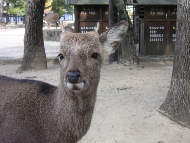 3連休を利用して、修学旅行以来の広島へ。<br /><br />さて、その目的は…。