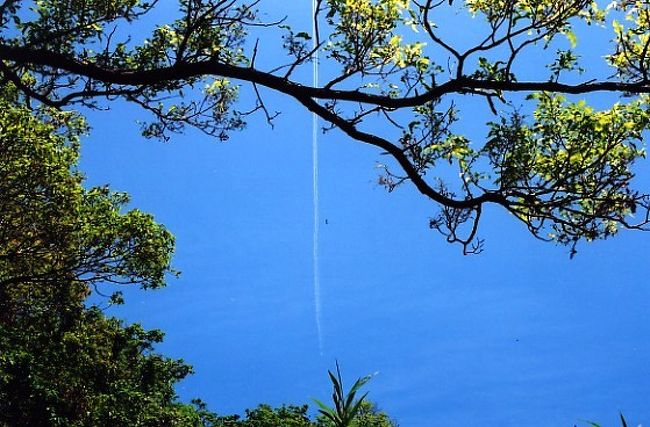 ＧＷに神戸電鉄の菊水山で下車。そこからのミニ登山で、菊水山からさらに進んで鍋蓋山（なべぶたやま）まで足を延ばしてみました。神戸の街が手にとるような近さで東西に大きく拡がり、海、町、山が調和した美しい街だな～とあらためて思いました。