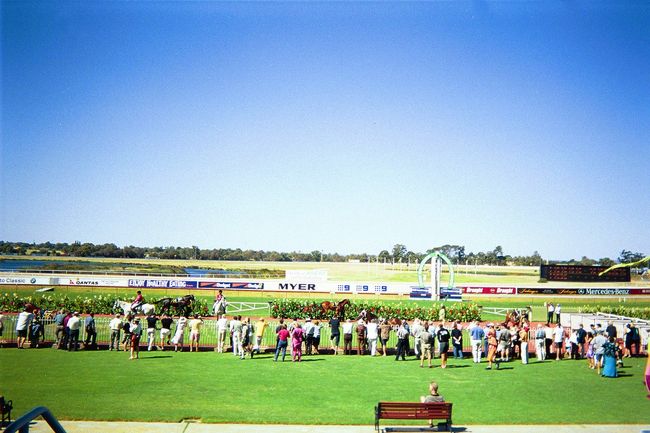 ２００２年１月 オーストラリア・パースの競馬場巡り（グロースターパーク競馬場・ピンジャラ競馬場・ファームステイ・アスコット競馬場など）