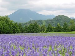 伯耆大山が借景なんて贅沢な景色＠とっとり花回廊2004年7月17日