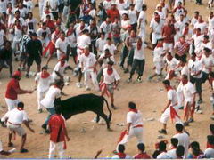 スペイン短歌紀行-5　パンプローナ編　牛追い祭り