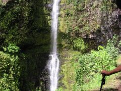 ハワイ島2002-1　ヒロ泊　壮大！カポロア滝・ポロル渓谷を歩く　☆トレイルツアー参加
