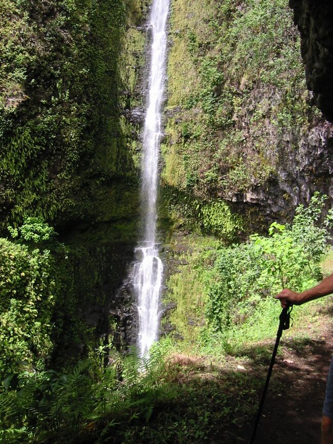 ハワイ島でコナ空港に降り立ち西部のリゾートホテルに泊まる方は、荒涼とした溶岩台地の景観に圧倒されるでしょう｡でも、もっと北に行くと緑の豊かな森が広がっています｡　　ポロル渓谷をたどっていくと、幾つもの滝に出会いますが、圧巻はカポロア滝です。滝裏に掘られた道から大滝のシャワーを浴びる体験ができます｡　ここから同じ道を帰ります｡リフレッシュできるハイキングコースを紹介します｡<br />ハワイフォレスト＆トレイル社主催の英語ツアーに夫婦２人で参加しました｡　（以下は同社のHPから案内文を引用します｡）<br /><br />美しいポロル渓谷、地上約１５０メートルから落下するカポロアの滝を、約６０メートルの地点で、滝の裏側からご覧いただくなど、このツアーでしか味わえない自然一杯のツアーです。<br /><br />ポロル渓谷展望台　　Pololu Valley Lookout<br />  ハワイ島の最北端に位置する渓谷<br />行き止まりの小さな駐車場に車を停め、緑に覆われた崖とドラマティックな北東部の海岸線が織り成すポロル渓谷を眺めれば、感動で身も心も震えるはず。 馬が草を食む丘の上から眺めると、沖の水面には小さな岩礁が顔をのぞかせ、渓谷の湾口部には美しい黒砂のビーチが広がっています。 谷底まで急な坂道を下ればビーチに行けます。<br />https://www.allhawaii.jp/spot/431/　より引用<br /><br />https://www.pacificresorts.jp/webkawaraban/special/060518/<br />参考までに<br /><br /><br /><br />