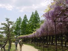 灌漑用の池のまわりは憩いの場＠宇部常盤公園☆2004年4月24日