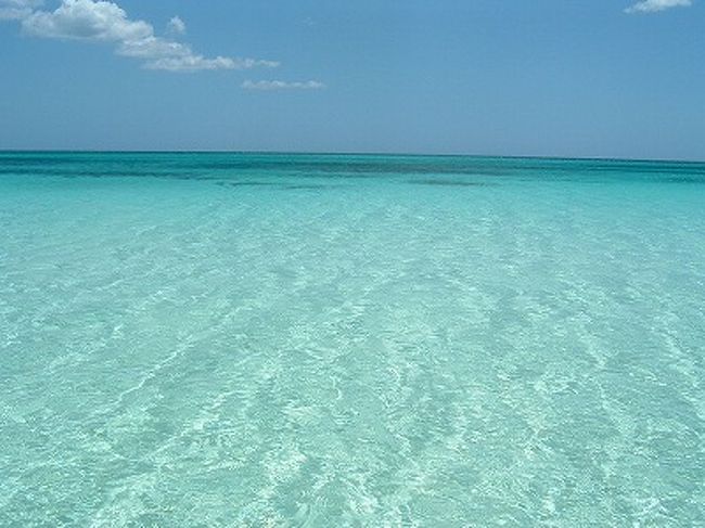 ドミニカ共和国で一番美しいビーチLAS AGUILASへ行って来ました。ここはハイチ国境に近く、観光開発もまったくされていないので手付かずの自然が残っています。ユネスコの世界遺産にも登録されています。
