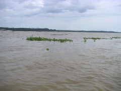 マナウス、アマゾン川流域