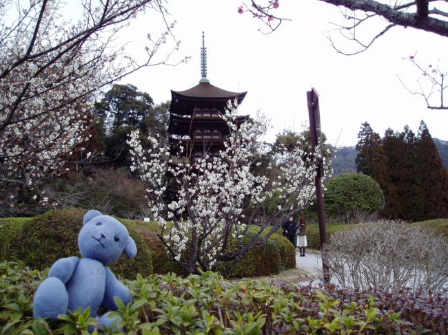 2005年瑠璃光寺五重塔ガイド日記