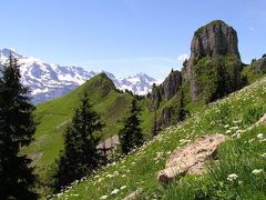 スイス花ハイキング２００３