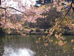 ◆２００５年３月◆東京都～新宿御苑～◆