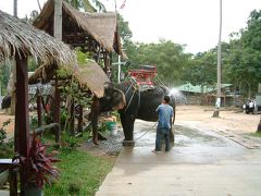 タイ修学旅行