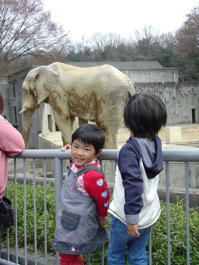 東山動植物園へ行ってきました