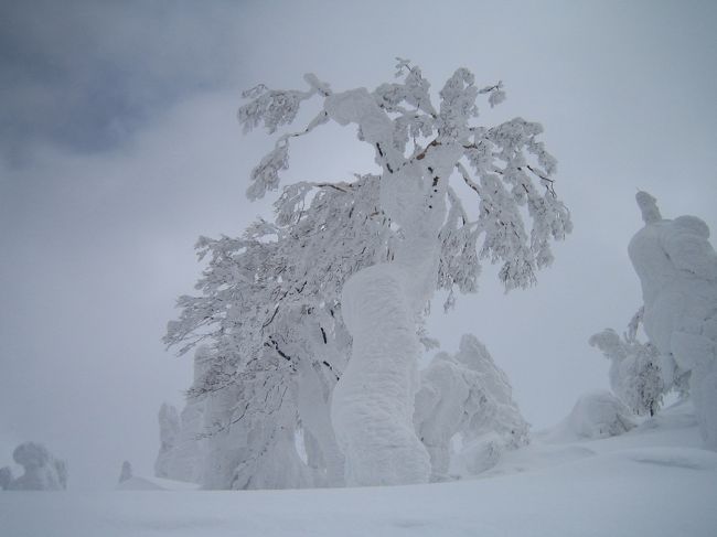 森吉スキー場にスノーボードに行きました。ここは、高地にあって雪質最高なのはいいんだけど、天気が悪い日が多いのがつらいところ。この日はちょっとだけ晴れました。
