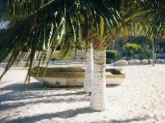 １００％世界共通　☆