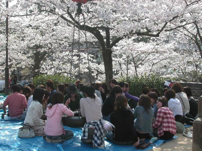 桜の名所、夙川（しゅくがわ）でお花見をした。とにかく、凄い人で、花見に行ったのか、人見に行ったのか、わからなくなってしまった。