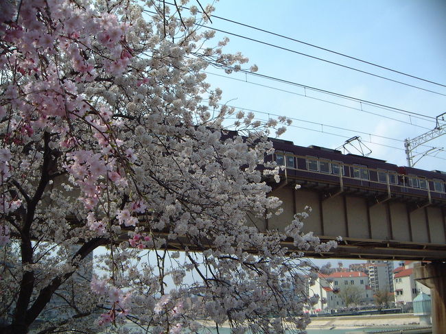 主人の実家の家族と宝塚ホテルのランチバイキングに行きました。ちょうど桜が満開でお花見もできました。