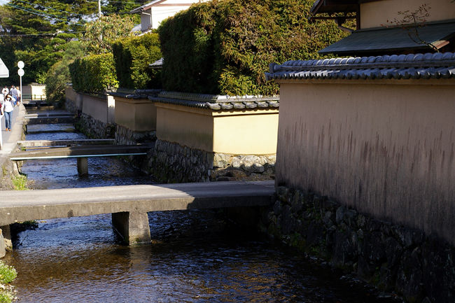 京都洛北の上賀茂神社の近くに、神主さんのお家、つまり社家のばかりがあつまる街があります。このなかでも西村家が一般にも公開されていまして、庭園や茶室の清楚なたたずまいは、質素で静寂な空間が広がり、お花見でごったがえす京都の街中とは思えない素晴らしい体験をすることが出来ました。
