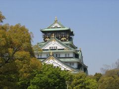 114梅_桜・・その後の大阪城