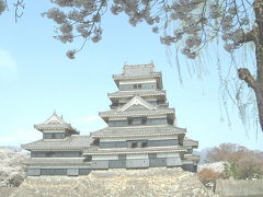 春爛漫　桜満開　松本城