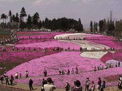 芝桜祭り