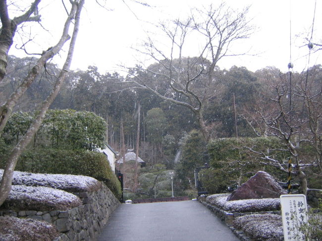 京都は寒かった！！３月だと言うのに雪は降るし積もるし。ビックリなくらいの寒さでした。九州育ちの私には少し辛かった。朝早くに人気のある鈴虫寺へ。軽く説明を聞きお祈りへ。願いコトをしましたが未だに実現できてる気はしません・・・。願い方が違ったか？！間違うとダメみたいです。明確に謙虚に・・・みたいな感じでした。有名人なども訪れるそうです。舞妓さんに会いたかったのですが出逢えませんでした。友達はチラッと見たみたい。京都なのにケチってしまい怖くて料亭などは入れなかった。<br />値段いくらって書いてないもの！なので何処にでもあるソバ屋さんに行き夕御飯。私は衣食住の中で一番食べ物に気を使わないのでソレはそれで良いのですが。よくよく考えると折角行ったのに京都料理を食べとけばよかったと思います。次行くときは必ず食べるぞっ。値段なんか見ないぞっ！京都旅行は本当に祈願しまくりました。最後に願い事も無くなり「お地蔵さんが幸せになりますように」などと大きなお世話なお願い事をしてたりしました。<br />今度京都に行くときは、食べ物と観光をしたいな。