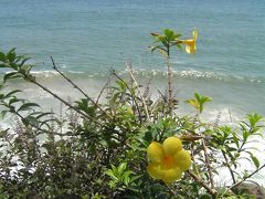 India 11(Varkala, Kerala)