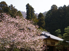 京都２　大原　実光院と勝林院