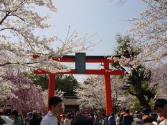 平野神社～2005年4月9日～満開の桜を楽しむ♪