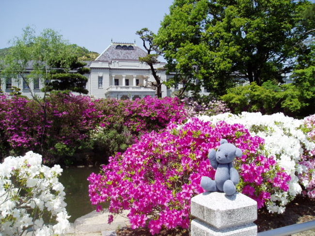 五重塔の近くにある山口県庁は、幕末長州藩が幕府に逆らって萩から山口へと城を移した跡地です。<br />その名残は藩庁門とお堀のみですが。<br />藩庁門のツツジが満開になっているので出かけてみました。