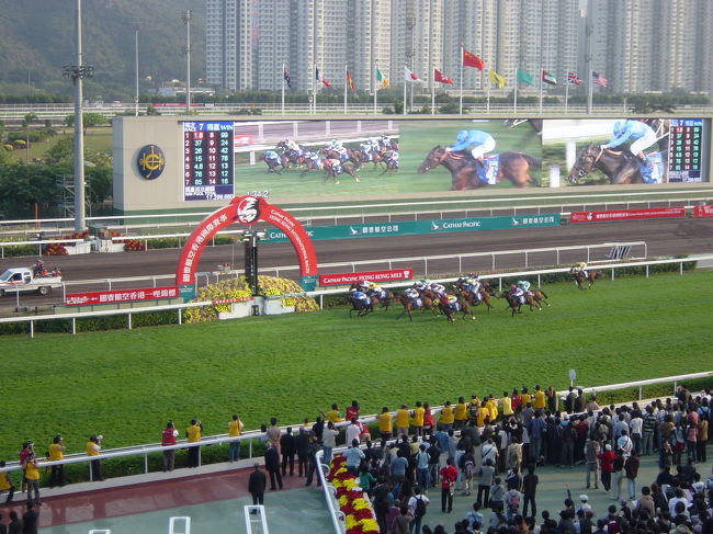 香港シャティン競馬場で開催された香港国際レースを観戦。日本からもダンスインザムード､デュランダルなどが参戦､しかし結果は惨敗｡2001年の日本馬三連勝の再現を期待していましたが､海外の壁は高かった｡一方デビュー以来12連勝中の地元香港馬サイレントウィットネスが香港スプリントに勝利し無傷の13連勝を達成｡ 