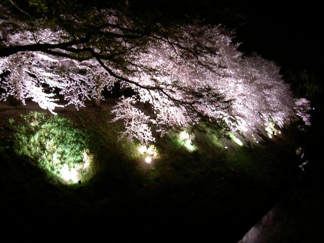 毎年何回かは会津若松に出かけているが、今回初めて桜の時期にぶつかりました。うろうろしていたので、いろんなところで桜などを見学できてよかった。<br />