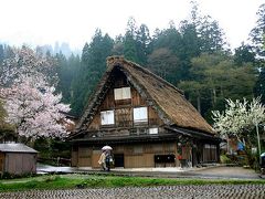 桜咲く白川郷