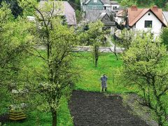 ポーランドの旅【４】　中世が生きる美しい村　カジミエーシュ・ドルニィ