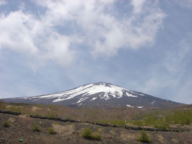 お出掛け復帰の第一号は会社の人と５人で<br />富士山の幻の滝を見に行ってきました<br />富士山登山口の須走口５合目（２０００ｍ）から<br />宝永山へ向って歩くこと３０分（標高２２００ｍ）<br />たった２００ｍされど２００ｍ<br />登り始めはかなり急坂が続きます<br />まだ雪の残っている木々の間の少し急な坂を登りきると広い場所にでます<br />ここからはザクザクした火山灰の斜面が現れます<br />ここは歩くのは楽です<br />滝が現れる辺りは溶岩や岩がゴロゴロした大地<br />山頂もきれいに見えているかと思っても<br />ちょっと足元に気を取られている隙に急に雲に隠れて見えなくなったり｡｡｡と<br />いろんな表情を見せてくれます<br /><br />雪解けの時期にしか姿を現わさない期間限定（５月中旬〜６月中旬）の幻の滝<br />姿を現すのは５月中旬〜６月中旬で陽の光で雪が溶け出す頃からで<br />太陽が富士の裏側へ隠れる頃には雪解け水もなくなり姿を隠してしまいます<br />降雪量によって毎年流れる水量も水路も違います<br />２年前は上の方しか流れていなかったのが<br />今年は雪が多かったので勢いも水量も多かったです
