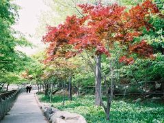 ぶらり韓国１人旅＜テグ編＞