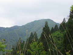 中世の仏教遺跡が眠る静かな「己高山」