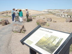petrified forest national park 化石の森国立公園