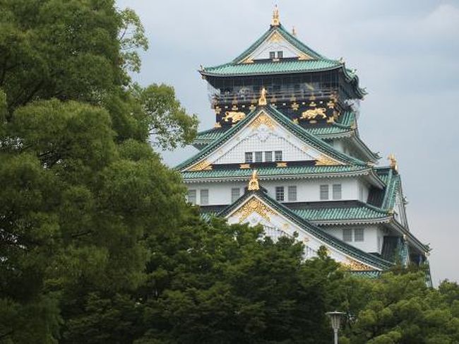 大阪には何度も行ってても、ベタな観光地に行った経験がないので今回は大阪城に行ってみました。<br />驚いたのは、外国人観光客の多さ。<br />京都〜大阪なんて日本の観光地ゴールデンルートなのかなぁ？<br />大阪城ってコンクリート造り程度しか知識なかったけど、博物館をお城チックな外装に仕上げたものだったなんて。。ゆっくり見て回ったら１日仕事だわ。でも歩き疲れて２時間がいいところだったわ。<br />焼け落ちてしまったんだから仕方ないけど、なんだか味気ない。<br />江戸城だって結局は皇居になって姿残ってないものね。<br />こうなると1727年に追手門以外の城郭のほとんどを焼失しつつも、1753年までに創建当時の姿のまま再建された高知城ってスゴイわぁ。当時のまま現代まで残ってるんだもの！離れて知る郷土の良さ？また見に行こう！   <br /><br />