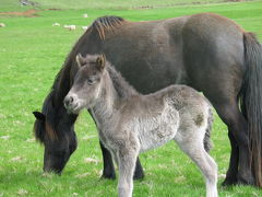 地球を感じる旅～アイスランド・South Shore Adventure編～