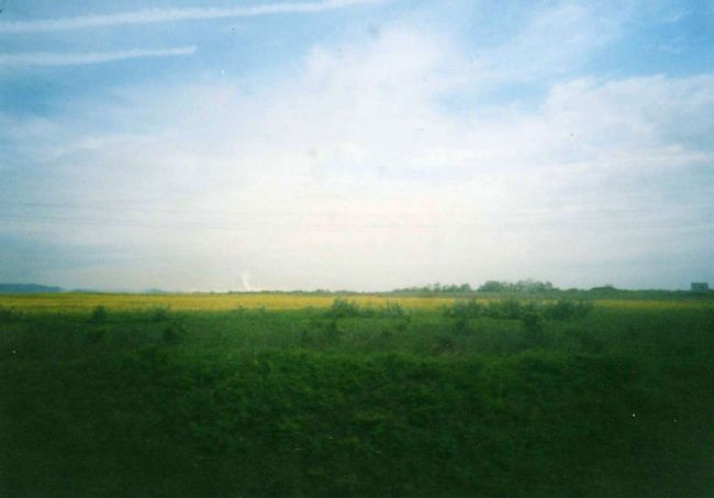 ホルトバージへの電車の中より『黄色はハンガリー色』の世界。<br /><br />ひまわり畑には振られましたが、菜の花と思われる黄色い花が一面に咲いているところがアチコチにありました。<br />電車からの景色と、地平線の見える大草原の景色はやはり迫力が違うのか？と思いながら、ホルトバージ世界遺産へ！！