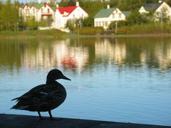 地球を感じる旅～アイスランド・the golden circle編～
