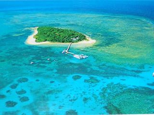 オーストラリア ケアンズ世界遺産 グリーン島 オーストラリア の旅行記 ブログ By あきかやさん フォートラベル