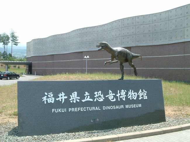 福井県立恐竜博物館へ行ってきました。<br />以前、恐竜博が実施されたところだと聞いています。<br />ジャム勝山スキ−場へスキ−に行ったときにきになっていたタマゴ型のド−ムがこの恐竜博物館だったのです。入場料は５００円と良心的で中は、コレだけの展示物を５００円でいいの？というくらいのものでした。