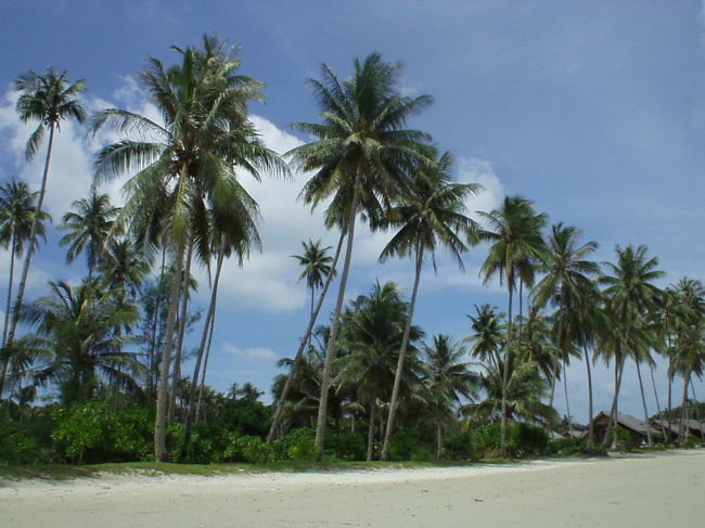 シンガポールから国境をこえてインドネシアのビンタン島へ行きました。<br />