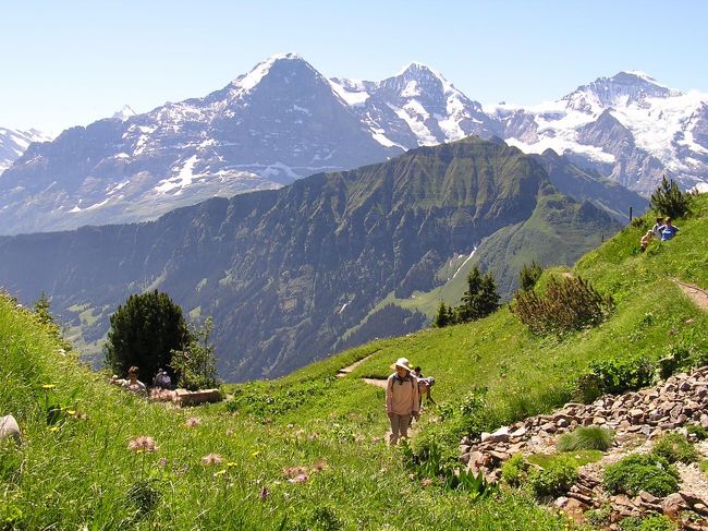 ユングフラウ三山の絶好の展望場所であり、フィルストへのハイキングコースの出発点でもあるシーニゲプラッテは叉、スイスアルプスの約５００種類の高山植物が整備されている高山植物園(Alpengalten )としても有名である。 此処では植物園のみならず周辺には高山植物が多く見られた。<br /><br /><br />＊写真はシーニゲプラッテよりユングフラウ三山を望む