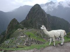 ★ペルー★　マチュピチュ