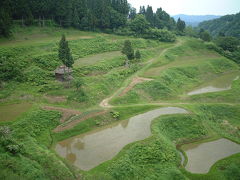 棚田　新潟県松之山町　(2001.06)