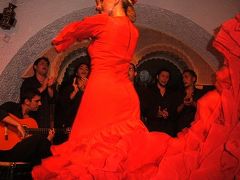 SPAIN, BARCELONA, Aug, 2004, 情熱のフラメンコ