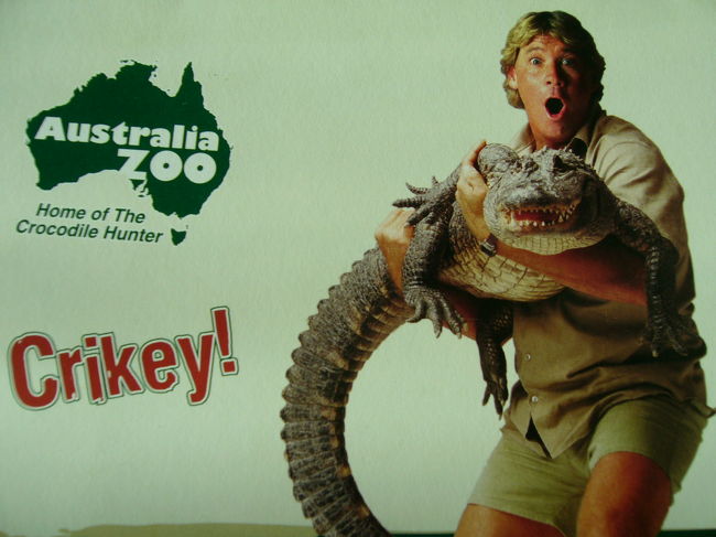 TVなどでお馴染みのスティーブのクロコダイルショーで　有名なオーストラリアZOO！　www.crocodilehunter.com